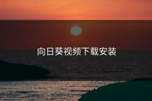 向日葵视频下载安装