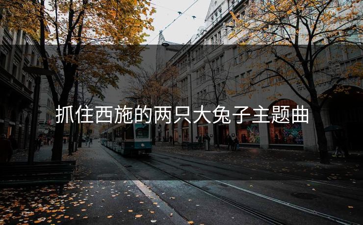 抓住西施的两只大兔子主题曲