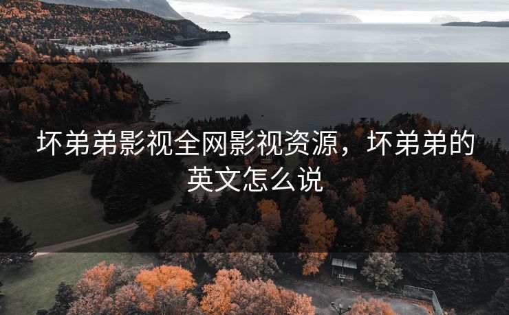 坏弟弟影视全网影视资源，坏弟弟的英文怎么说