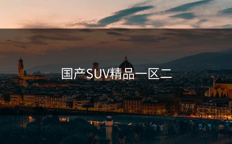 国产SUV精品一区二